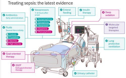 Treatment general outline in a case of sepsis image photo picture