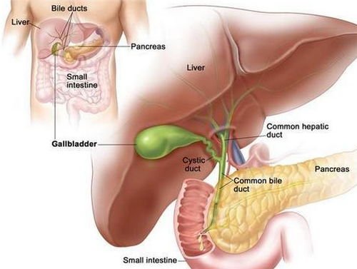 gallbladder location pain pictures image photo