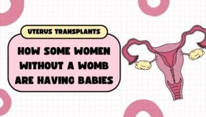 Uterus Transplants: How Some Women Without a Womb Are Having Babies