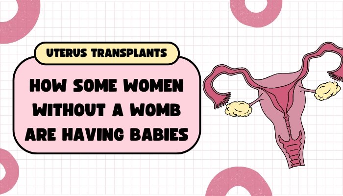 Uterus Transplants: How Some Women Without a Womb Are Having Babies