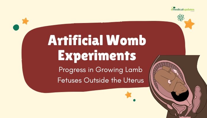 Artificial Womb Experiments- Progress in Growing Lamb Fetuses Outside the Uterus