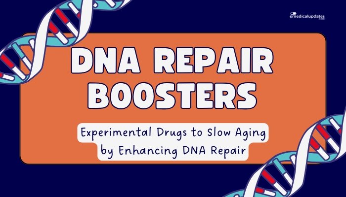 DNA Repair Boosters- Experimental Drugs to Slow Aging by Enhancing DNA Repair