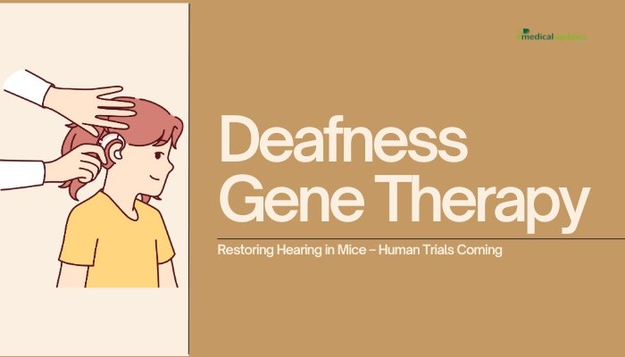 Deafness Gene Therapy- Restoring Hearing in Mice – Human Trials Coming?