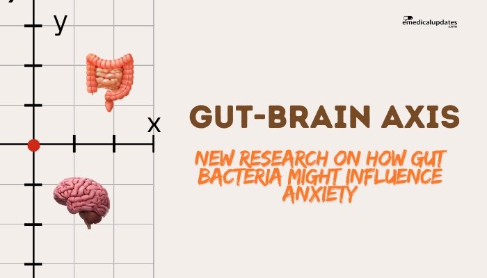 Gut-Brain Axis- New Research on How Gut Bacteria Might Influence Anxiety