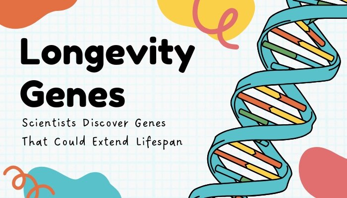 Longevity Genes- Scientists Discover Genes That Could Extend Lifespan