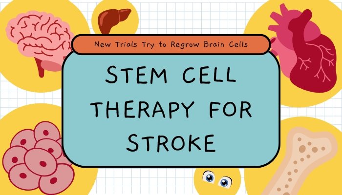 Stem Cell Therapy for Stroke- New Trials Try to Regrow Brain Cells